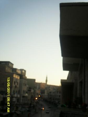 SAM_OM3145.JPG
