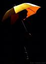 Umbrella-Yol.jpg