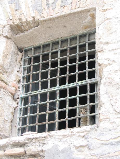 jerez-window-wall.jpg